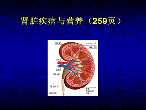 肾脏疾病与营养.ppt