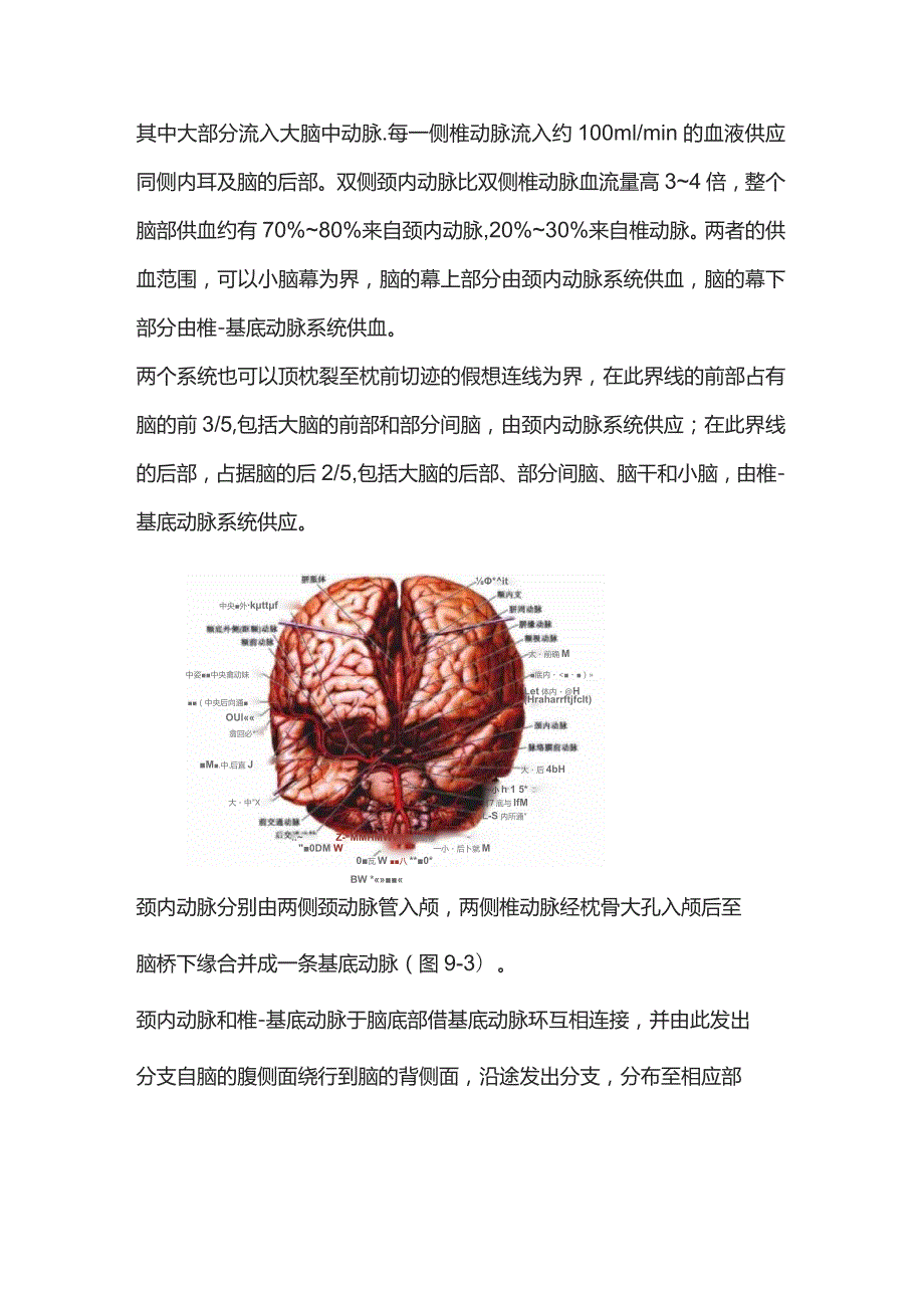 2023脑血管的解剖学及其病变时的临床症状（附图）.docx_第3页