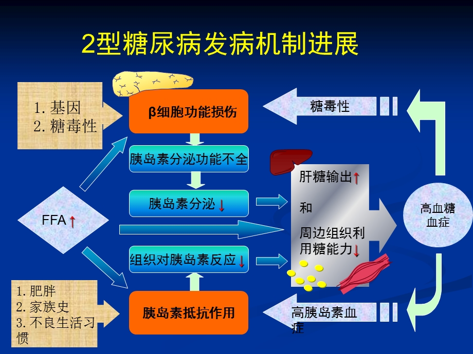 糖尿病研究的新进展.ppt_第2页