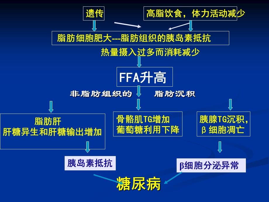 糖尿病研究的新进展.ppt_第3页