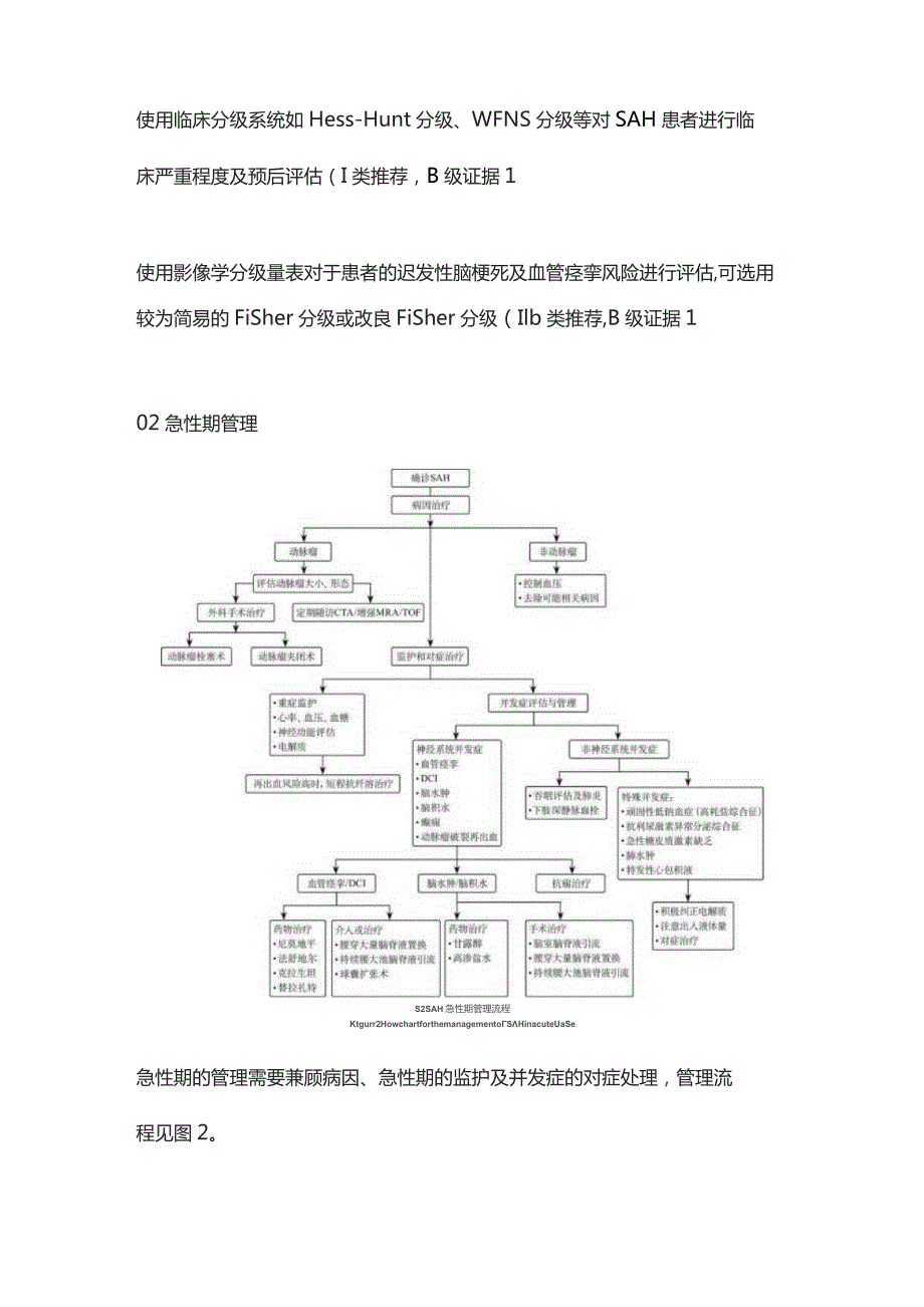 2023中国脑血管病临床管理指南（第2版）——蛛网膜下腔出血临床管理推荐意见.docx_第3页