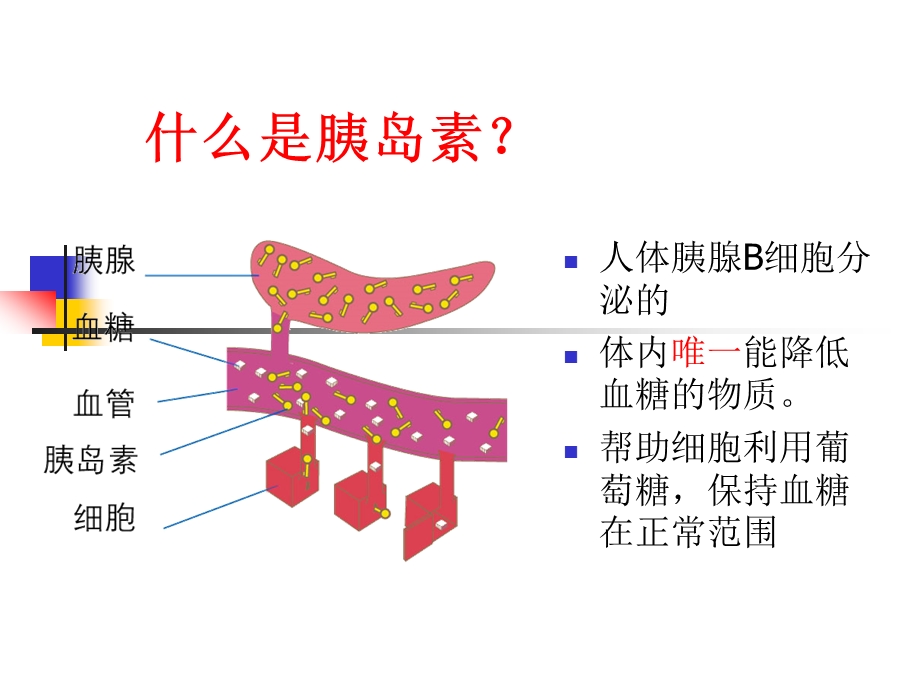 糖尿病病人的胰岛素治疗.ppt_第2页