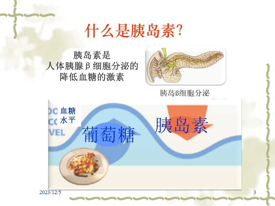 胰岛素注射.ppt_第3页