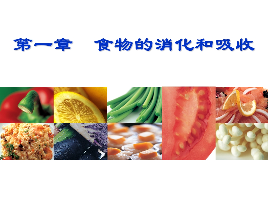 食品营养学第1章食物的消化和吸收.ppt_第3页