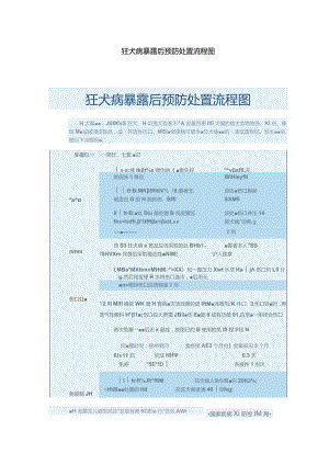 狂犬病暴露后预防处置流程图.docx