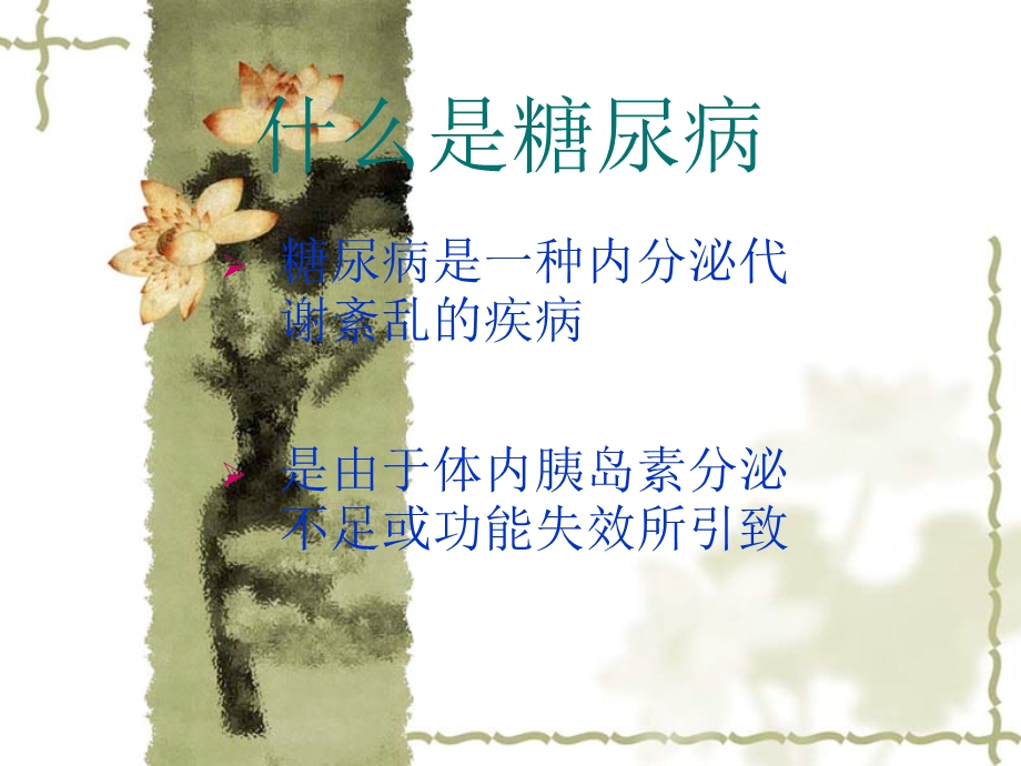 糖尿病学习资料.ppt.ppt_第2页