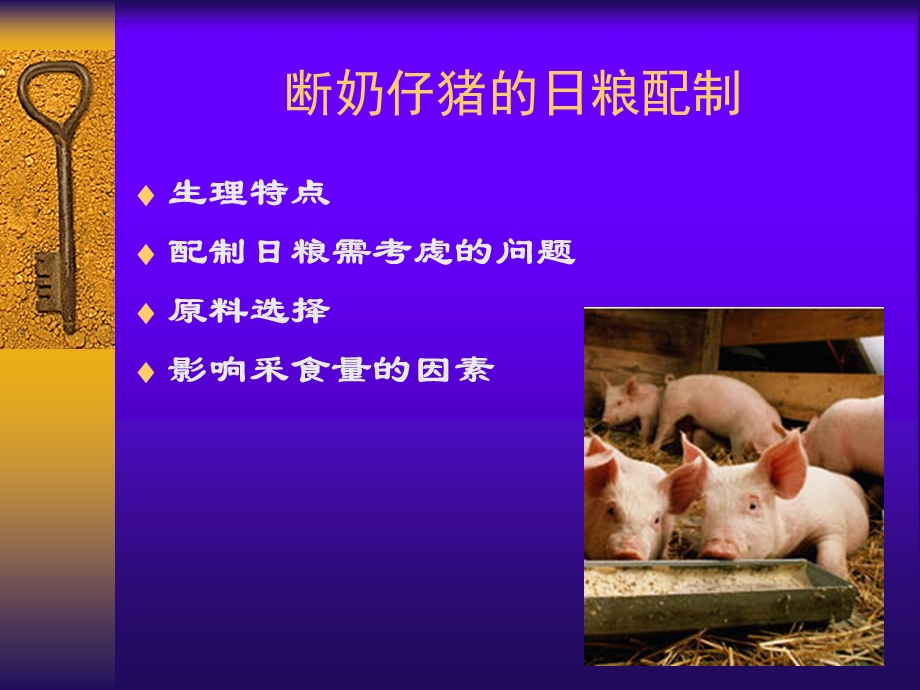 生长猪的营养需要.ppt_第3页