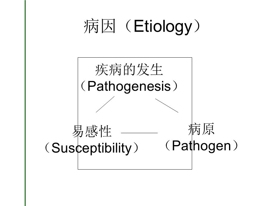 急性上呼吸道感染支气管炎.ppt_第3页