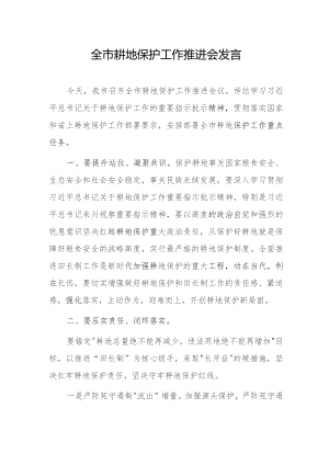 全市耕地保护工作推进会发言.docx