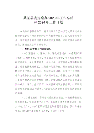 某某县委巡察办2023年工作总结和2024年工作计划.docx