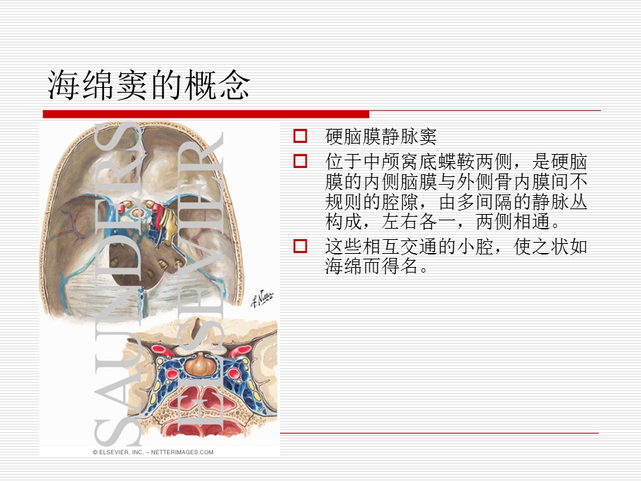 海绵窦综合征.ppt_第3页