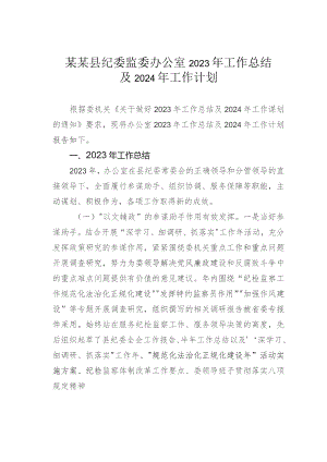 某某县纪委监委办公室2023年工作总结及2024年工作计划.docx