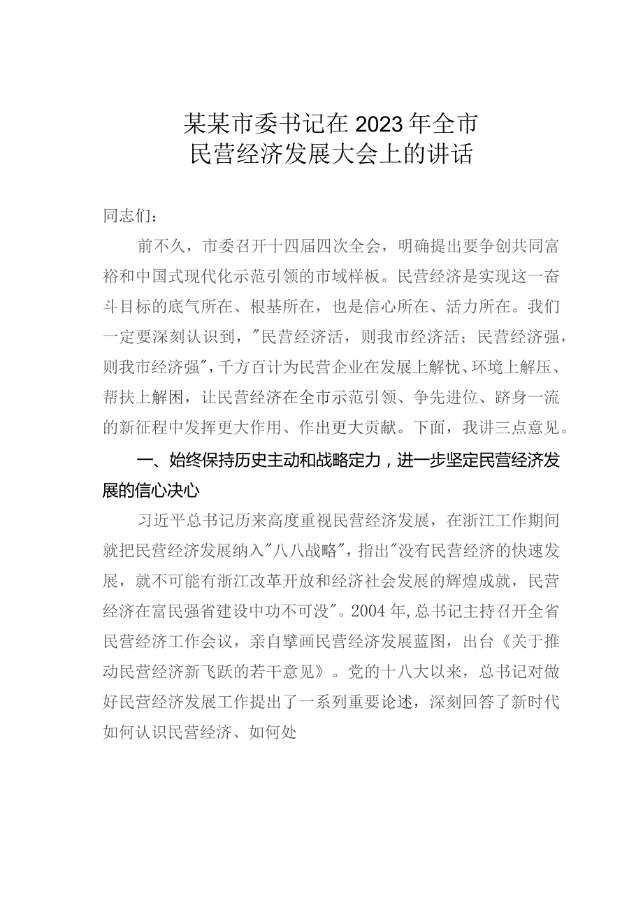 某某市委书记在2023年全市民营经济发展大会上的讲话.docx_第1页