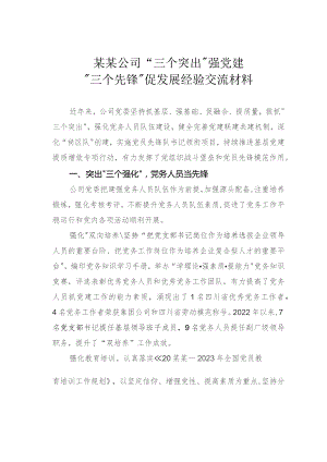 某某公司“三个突出”强党建“三个先锋”促发展经验交流材料.docx