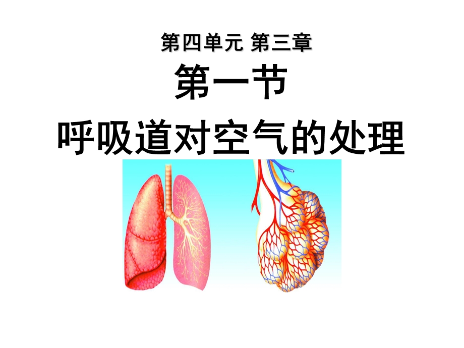 教学课件PPT呼吸道对空气的处理.ppt_第1页