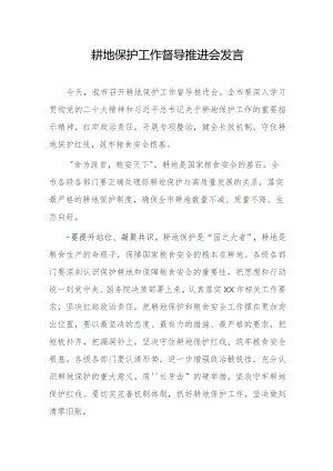 耕地保护工作督导推进会发言.docx