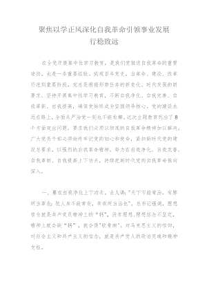 聚焦以学正风深化自我革命引领事业发展行稳致远.docx