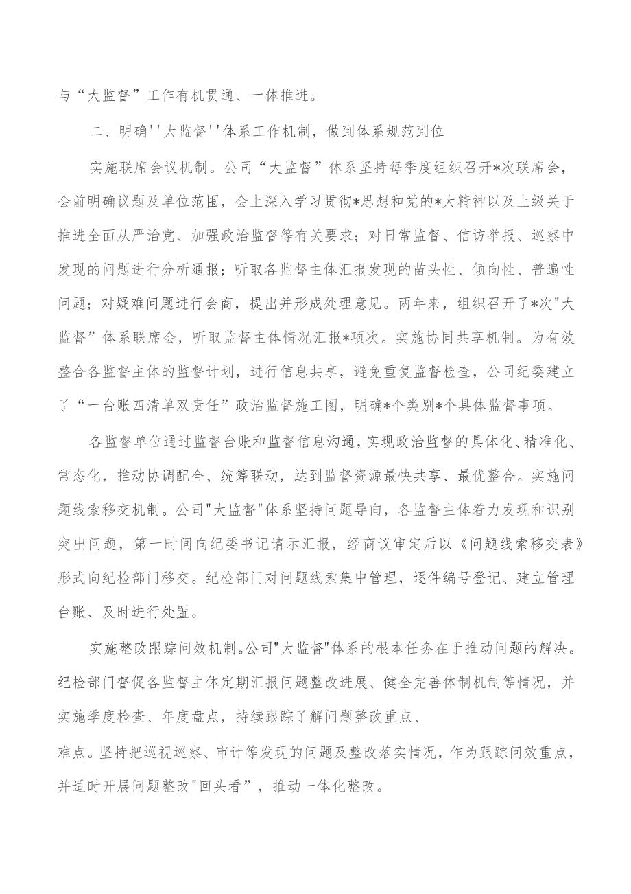 公司大监督体系建设经验典型做法.docx_第2页