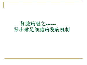 肾小球足细胞病发病机制.ppt