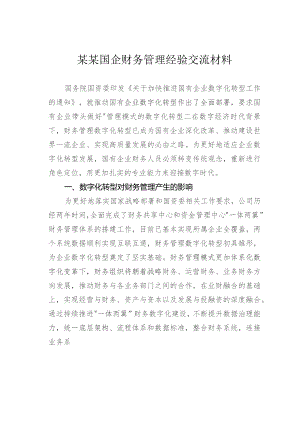 某某国企财务管理经验交流材料.docx