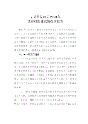 某某县民政局2023年法治政府建设情况的报告.docx