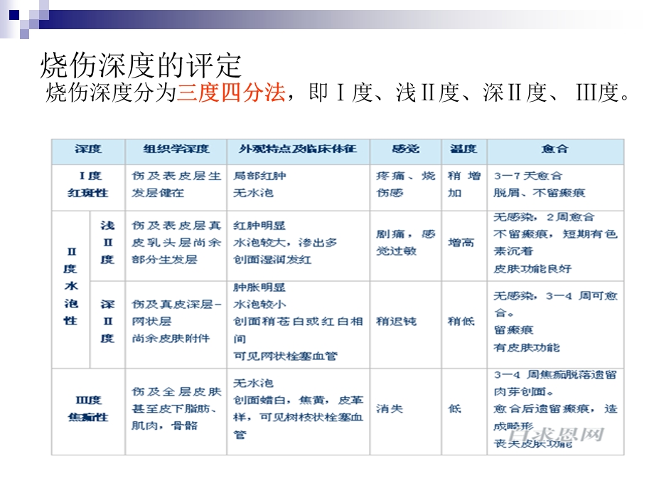 烧伤的作业治疗.ppt_第3页