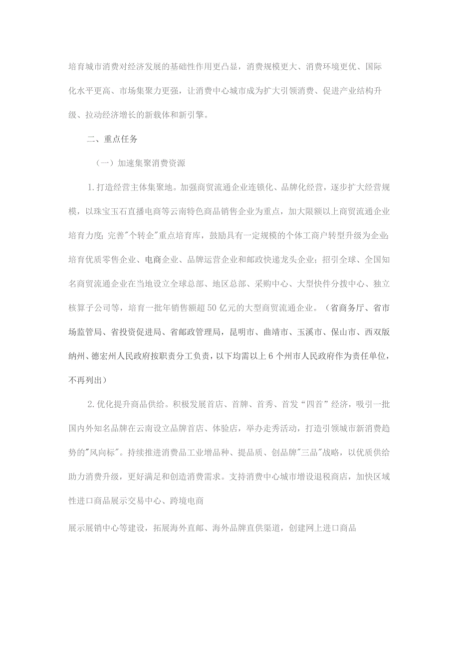 云南省培育建设消费中心城市的实施意见（2023—2025年）.docx_第2页