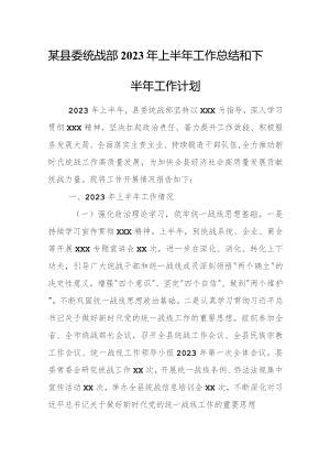 某县委统战部2023年上半年工作总结和下半年工作计划1.docx