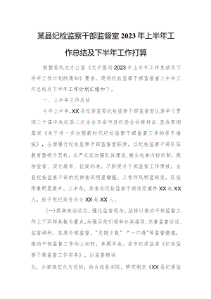 某县纪检监察干部监督室2023年上半年工作总结及下半年工作打算.docx