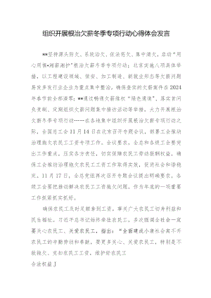 组织开展根治欠薪冬季专项行动心得体会实施方案2篇.docx