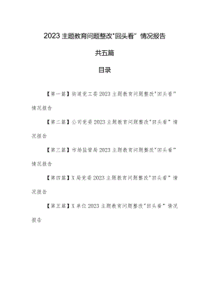 （5篇）2023主题教育问题整改“回头看”情况报告.docx