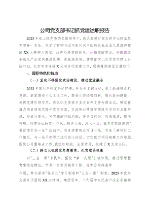 公司党支部书记2023年抓党建述职报告.docx