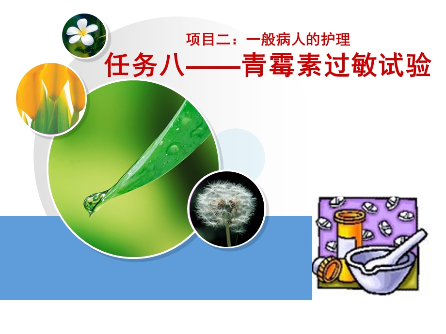 青霉素过敏试验.ppt_第1页