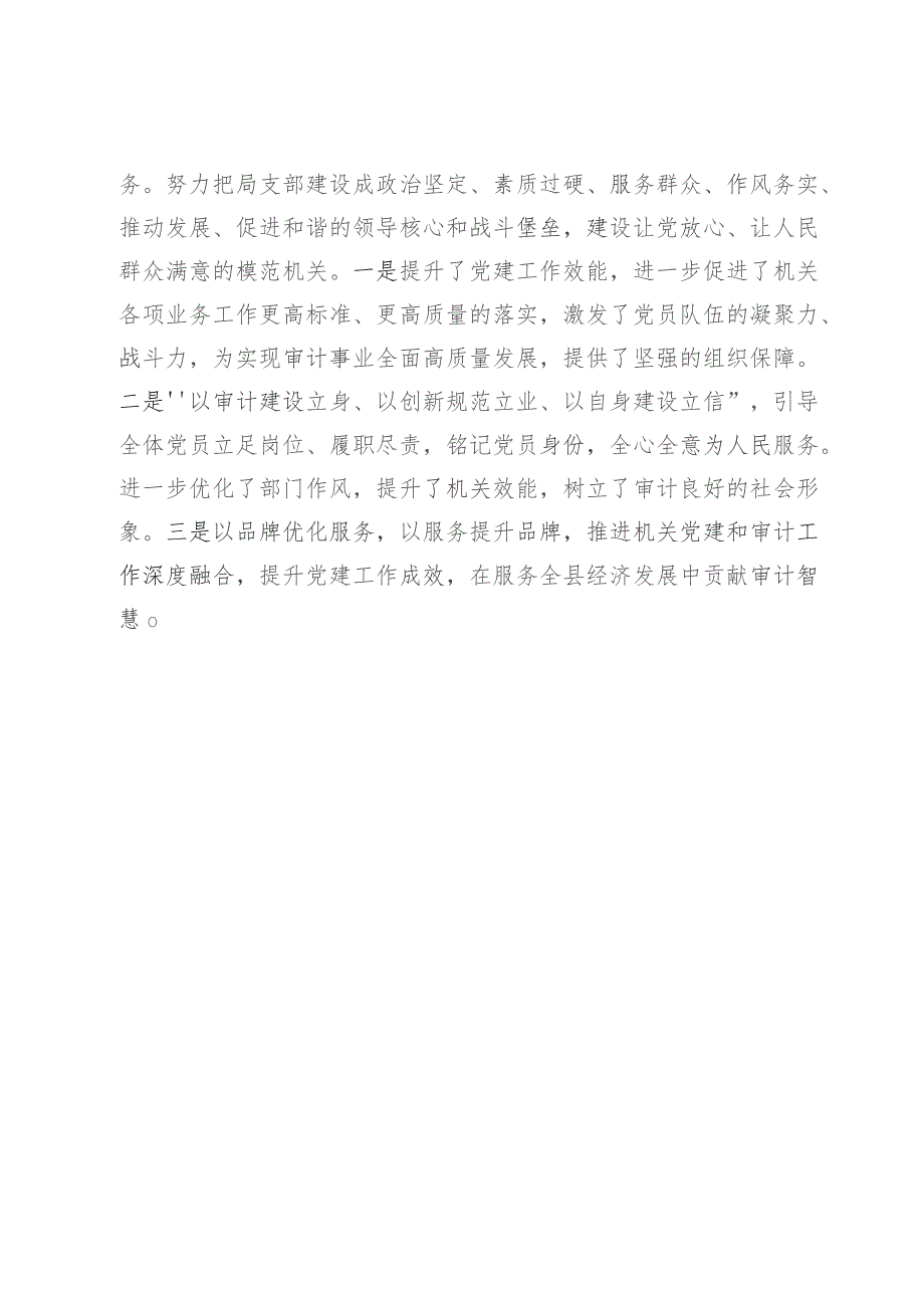 审计局机关党建典型案例材料：“党建引领·审计护航”推进党建工作和审计工作深度融合.docx_第3页