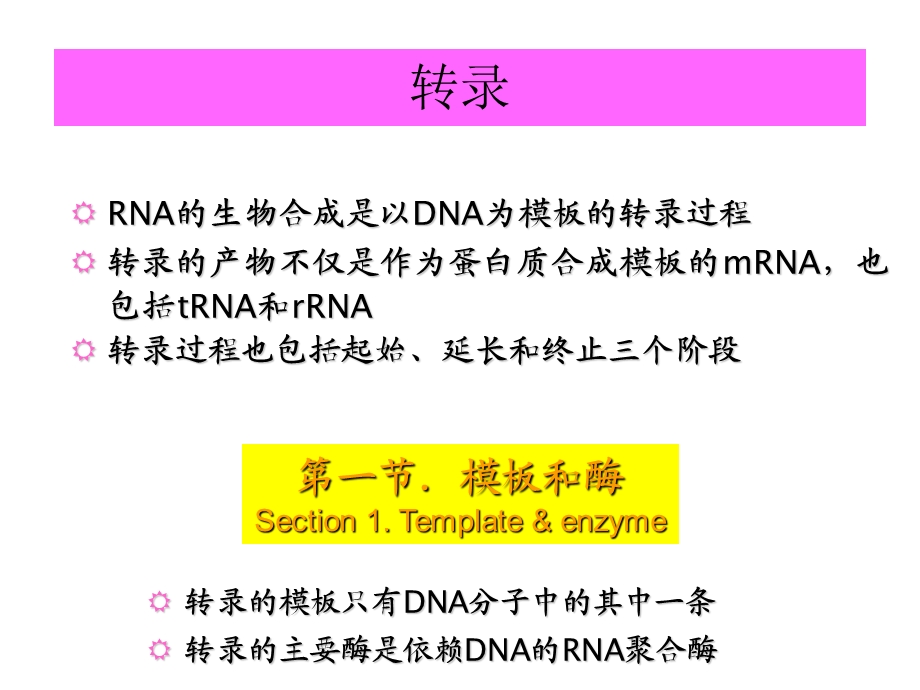 基因表达的调控.ppt_第2页