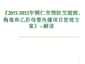 预防艾滋病梅毒与乙肝母婴传播项目管理方案解读.ppt