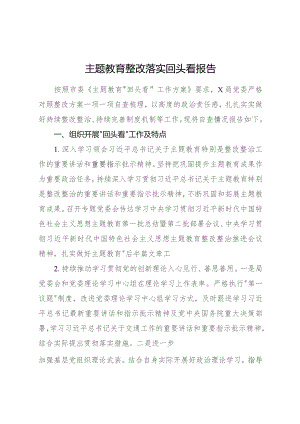 主题教育整改落实回头看工作报告（3700字总结）.docx