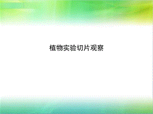 植物实验切片观察ppt.ppt