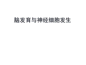 神经发生.ppt