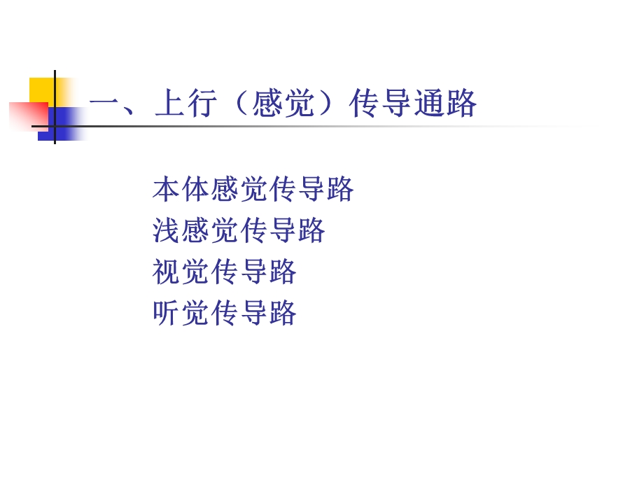 神经系统的传导通路.ppt_第3页