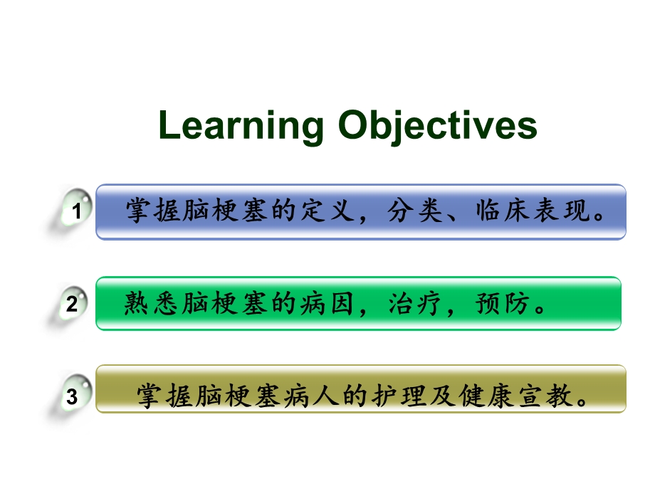 脑梗塞.ppt.ppt_第2页