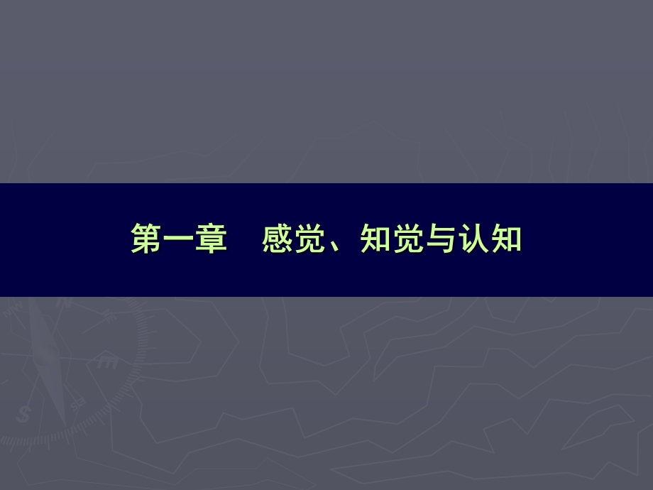 感觉、知觉与认知.ppt_第2页