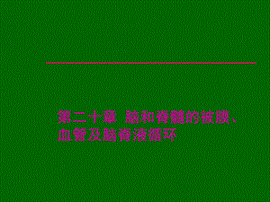 脑膜血管.ppt