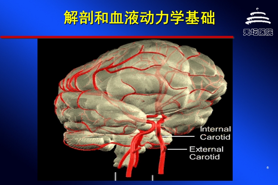 脑血管病与侧枝循环.ppt_第2页