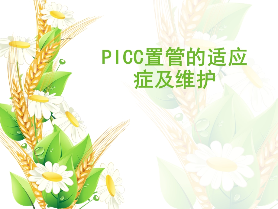 picc置管适应症及维护.ppt_第1页