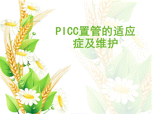 picc置管适应症及维护.ppt