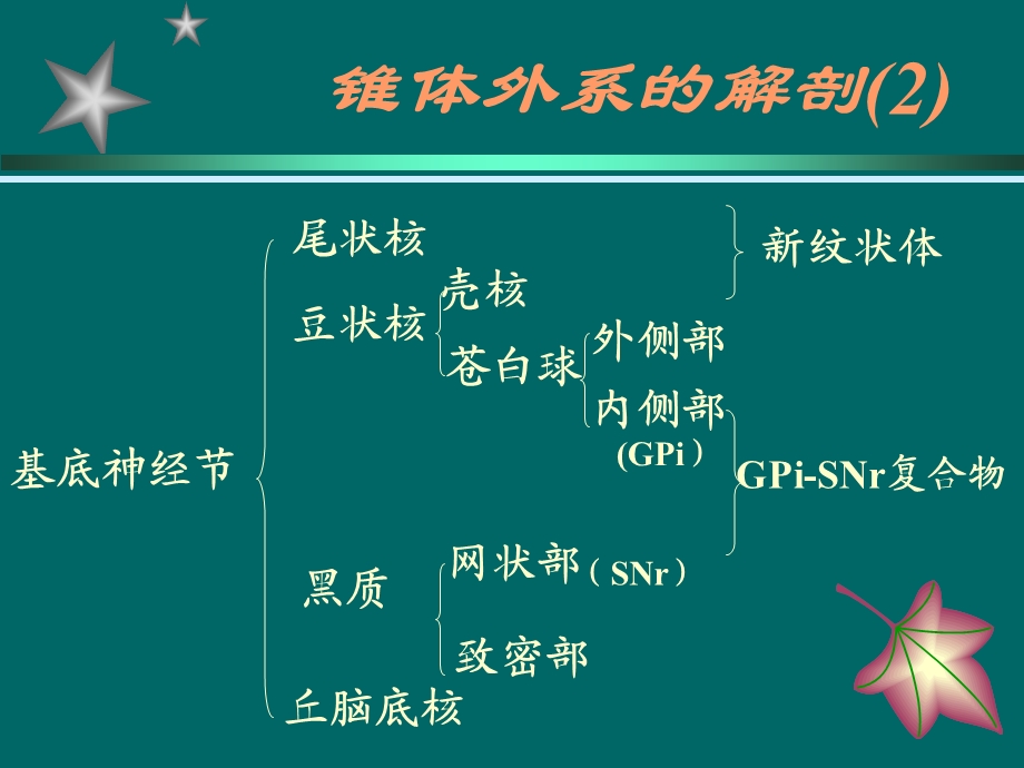 帕金森的药物治疗.ppt_第3页