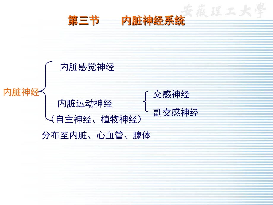 植物神经.ppt_第1页