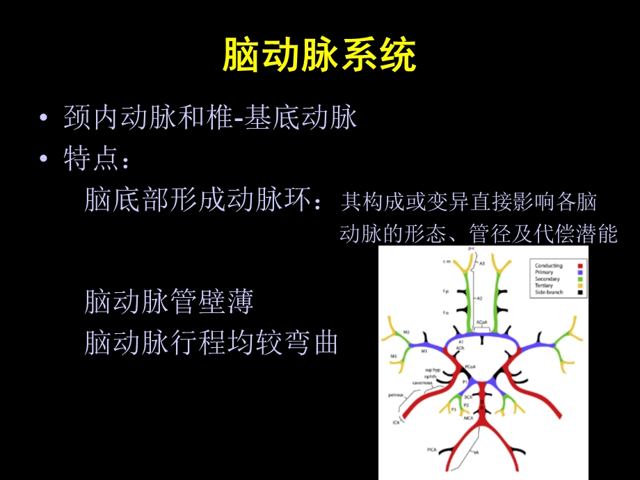 脑血管变异.ppt_第3页