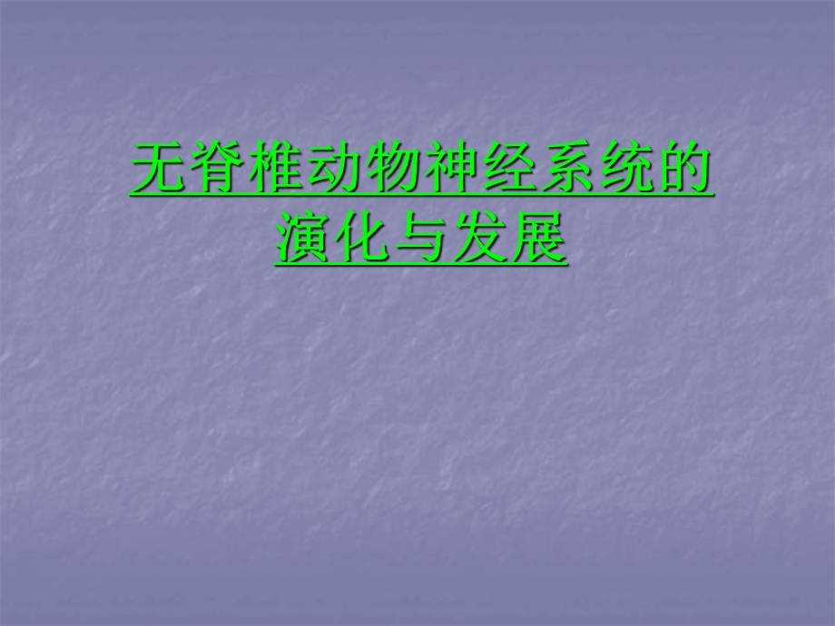 动物神经系统的进化.ppt_第1页